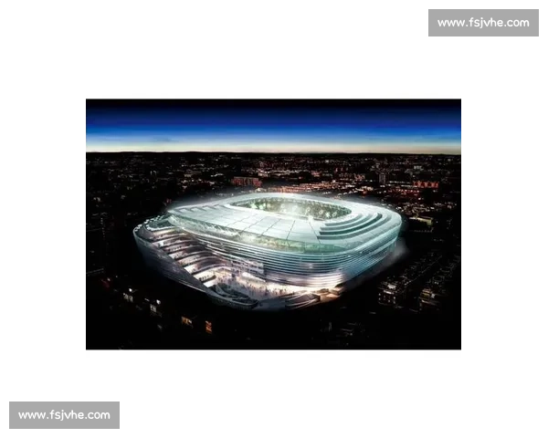 贝尼托・比利亚马林球场改造暂停护雨燕：生态保护与体育建设的平衡之道